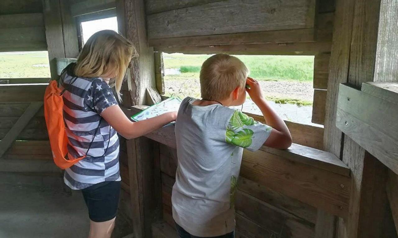 Chalet Op Camping Lauwersoog Met 3 Slaapkamers En Vaatwasser - Joycasa Luaran gambar
