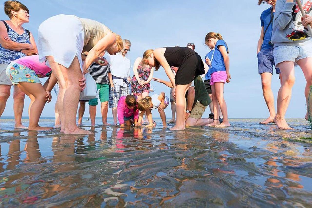 Chalet Op Camping Lauwersoog Met 3 Slaapkamers En Vaatwasser - Joycasa Luaran gambar
