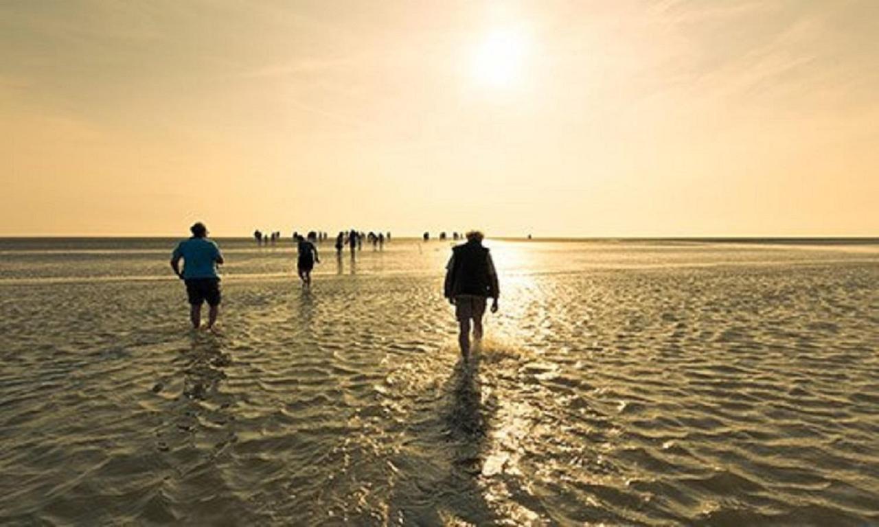 Chalet Op Camping Lauwersoog Met 3 Slaapkamers En Vaatwasser - Joycasa Luaran gambar